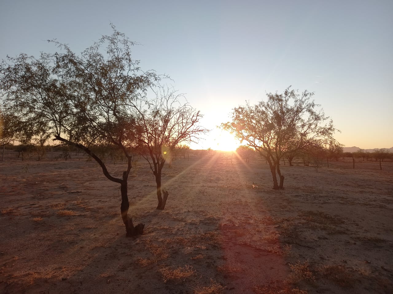 Atardecer 3 en la zona