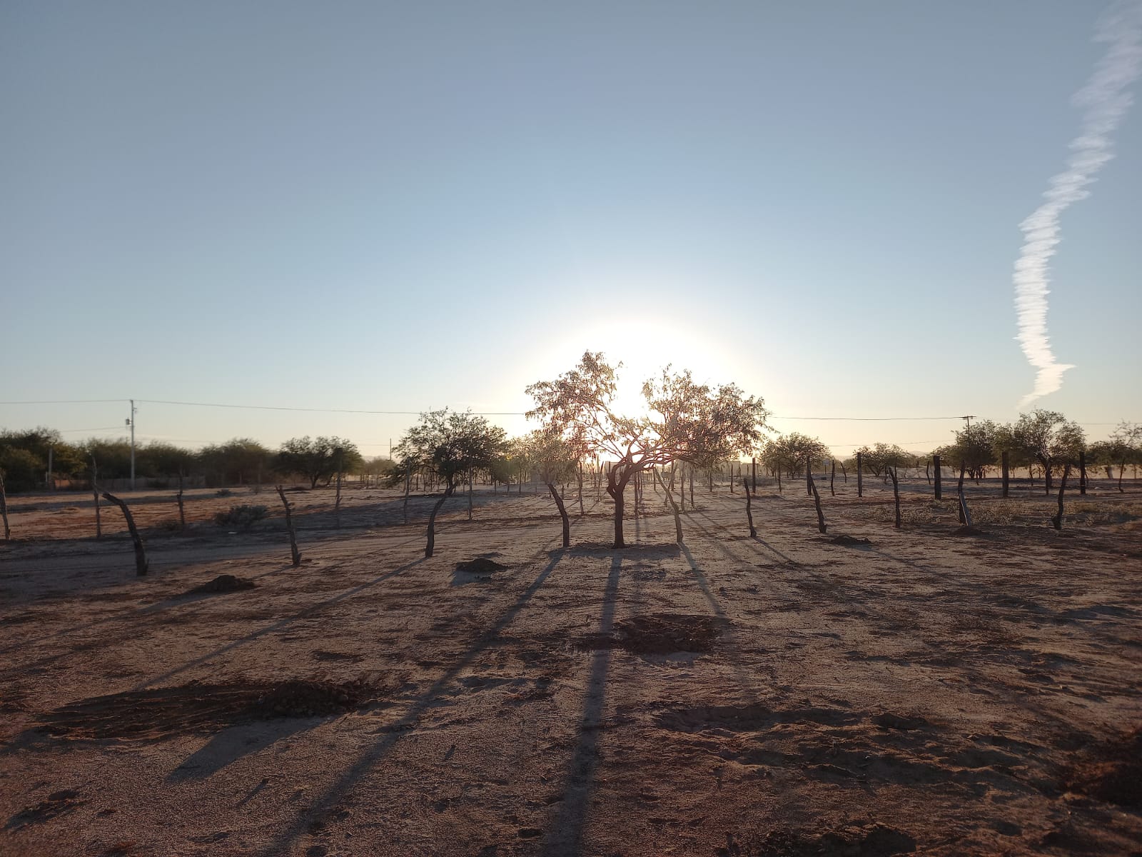 Atardecer 4 en la zona