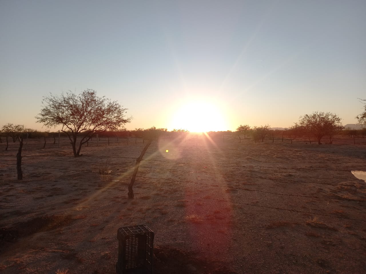 Atardecer 6 en la zona