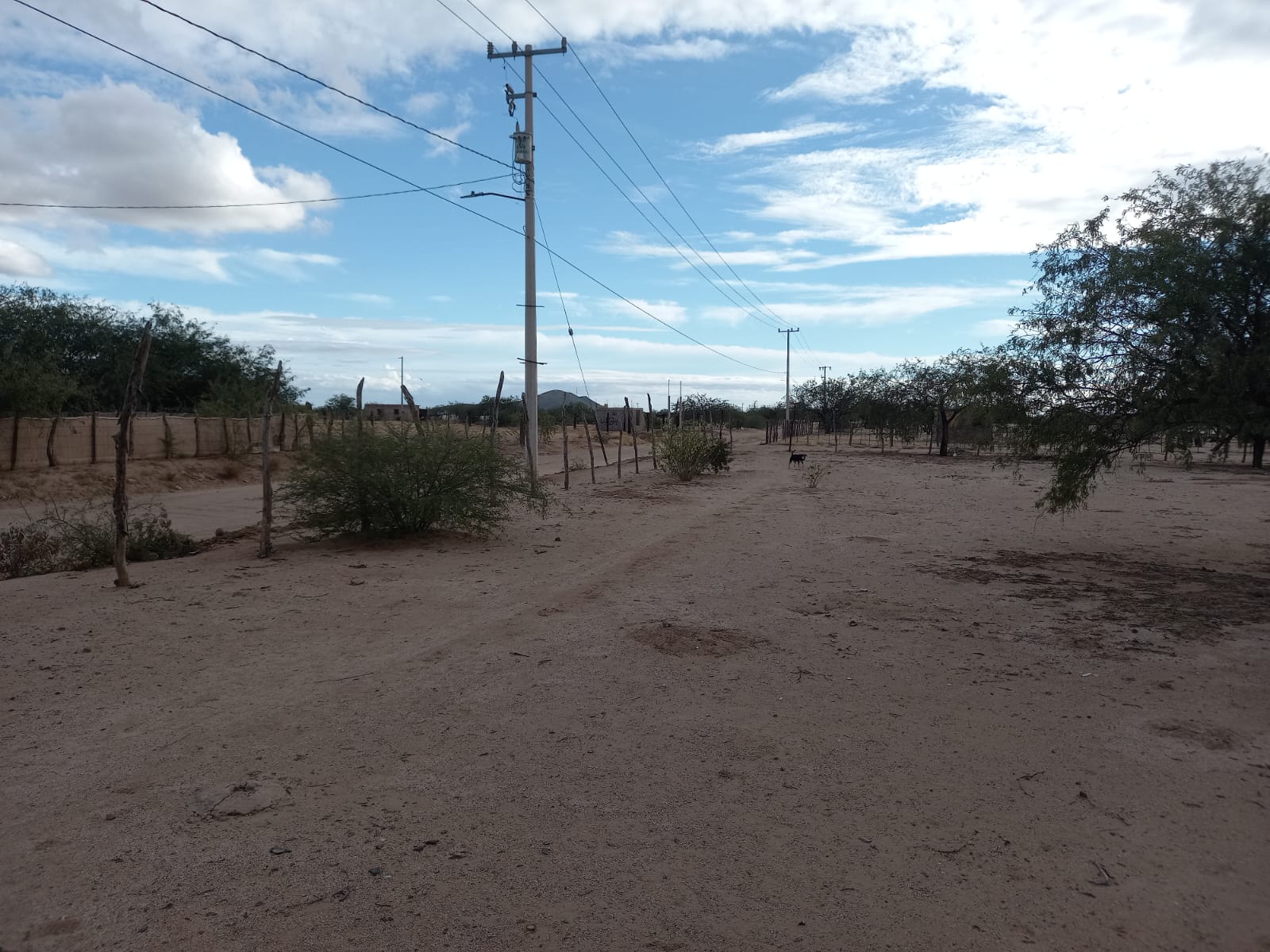 Foto 1 de la zona del ejido