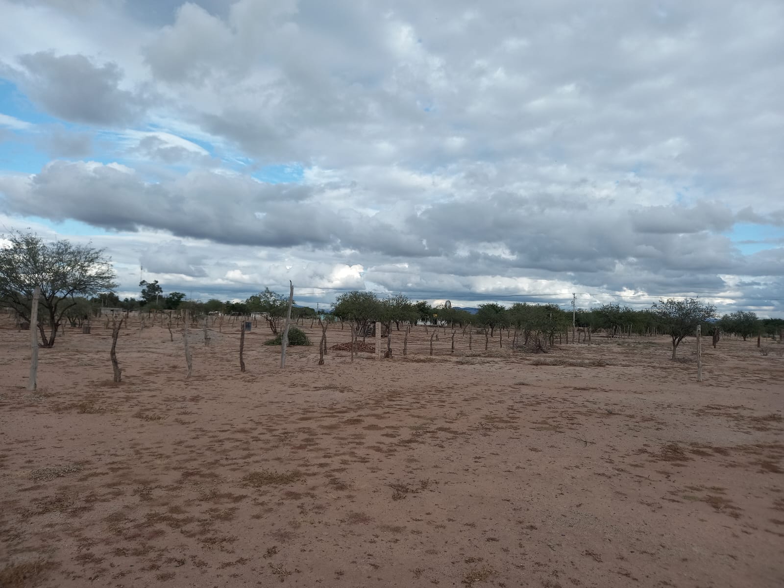 Foto 2 de la zona del ejido