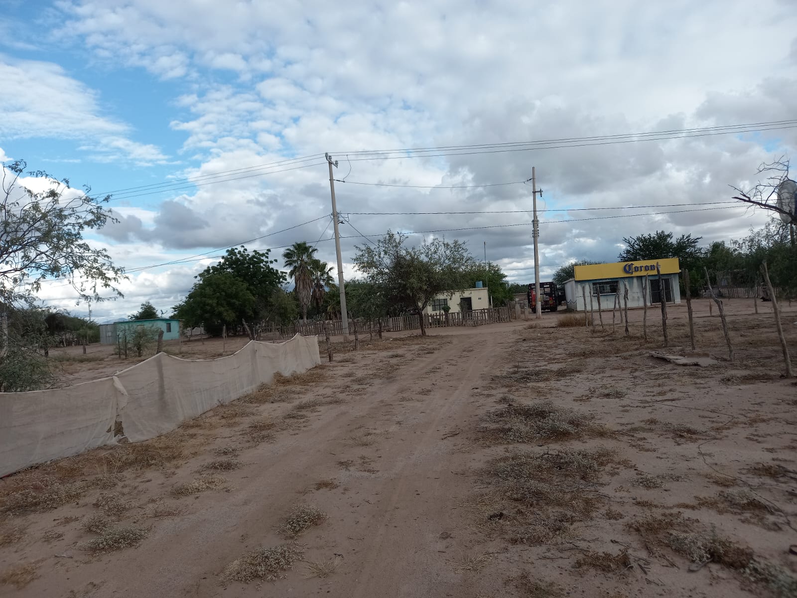 Foto 3 de la zona del ejido