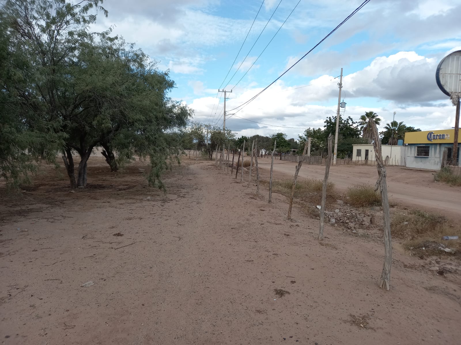 Foto 4 de la zona del ejido