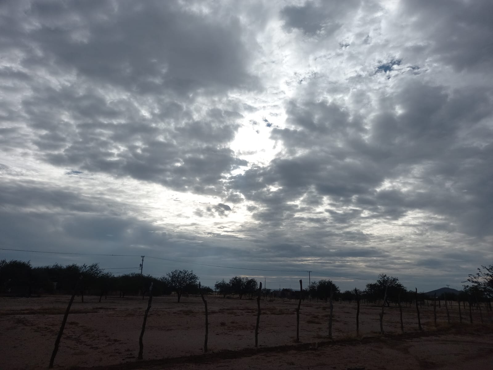 Foto 5 de la zona del ejido