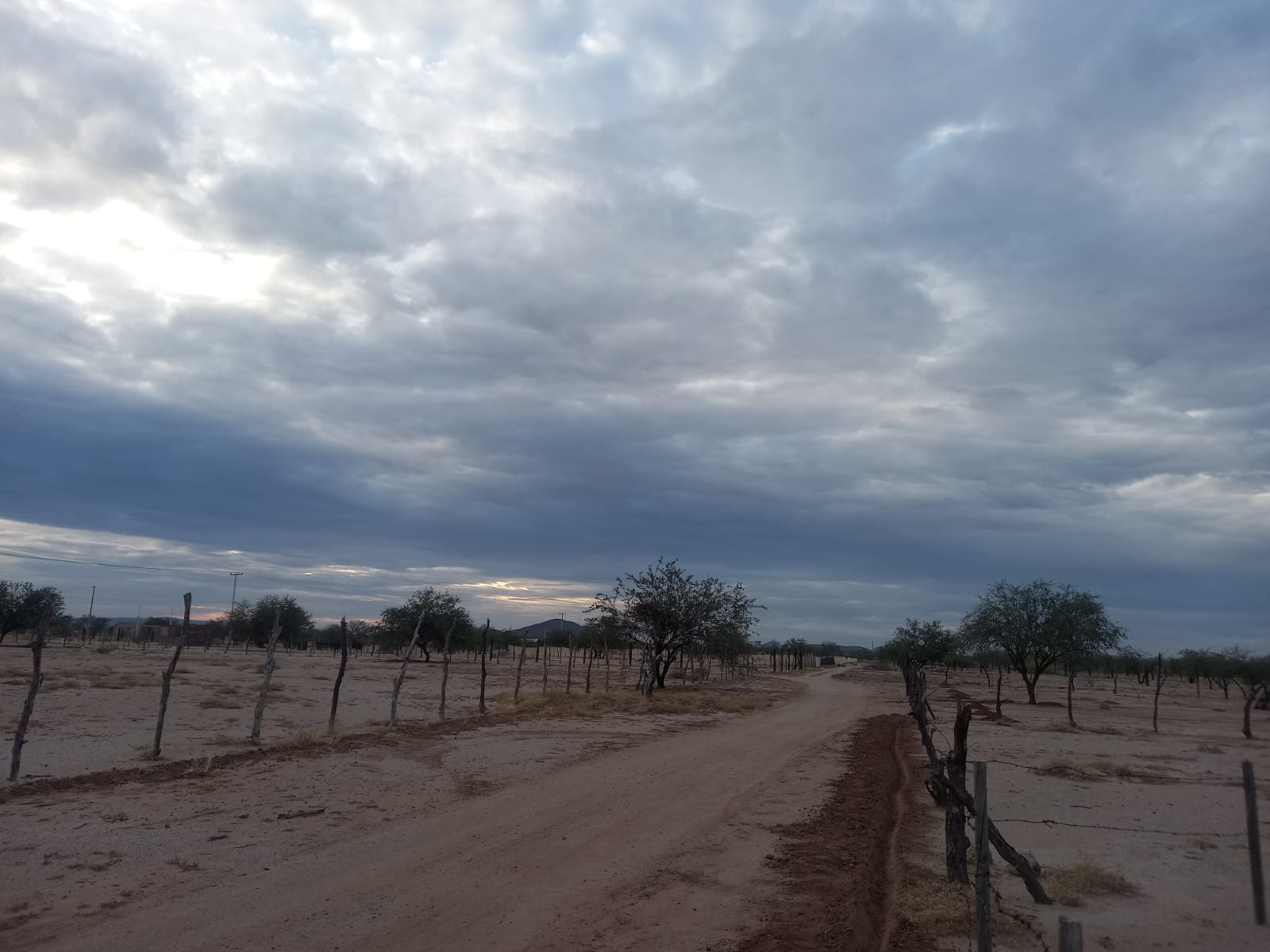 Foto 6 de la zona del ejido