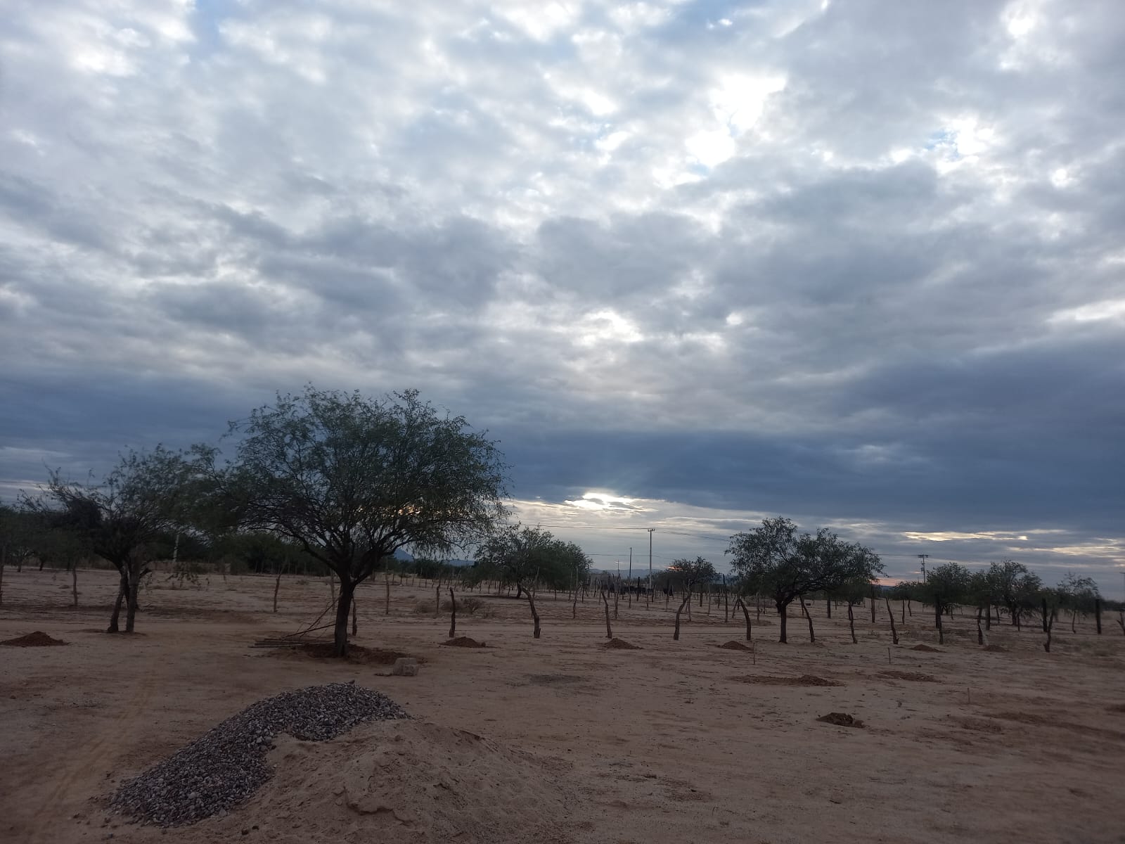 Foto 8 de la zona del ejido