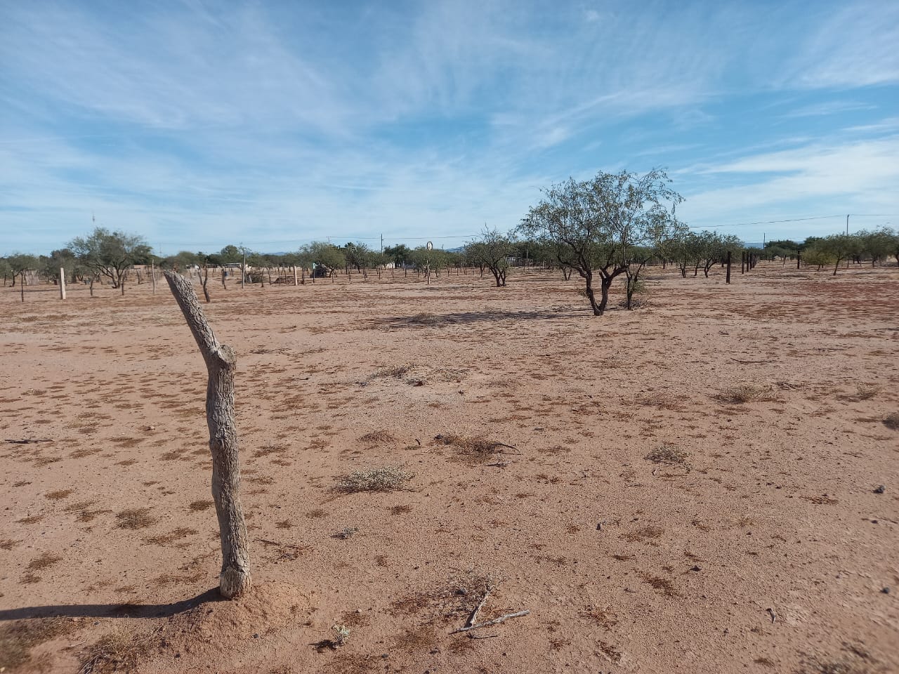 Terreno 01 · 20x40 metros