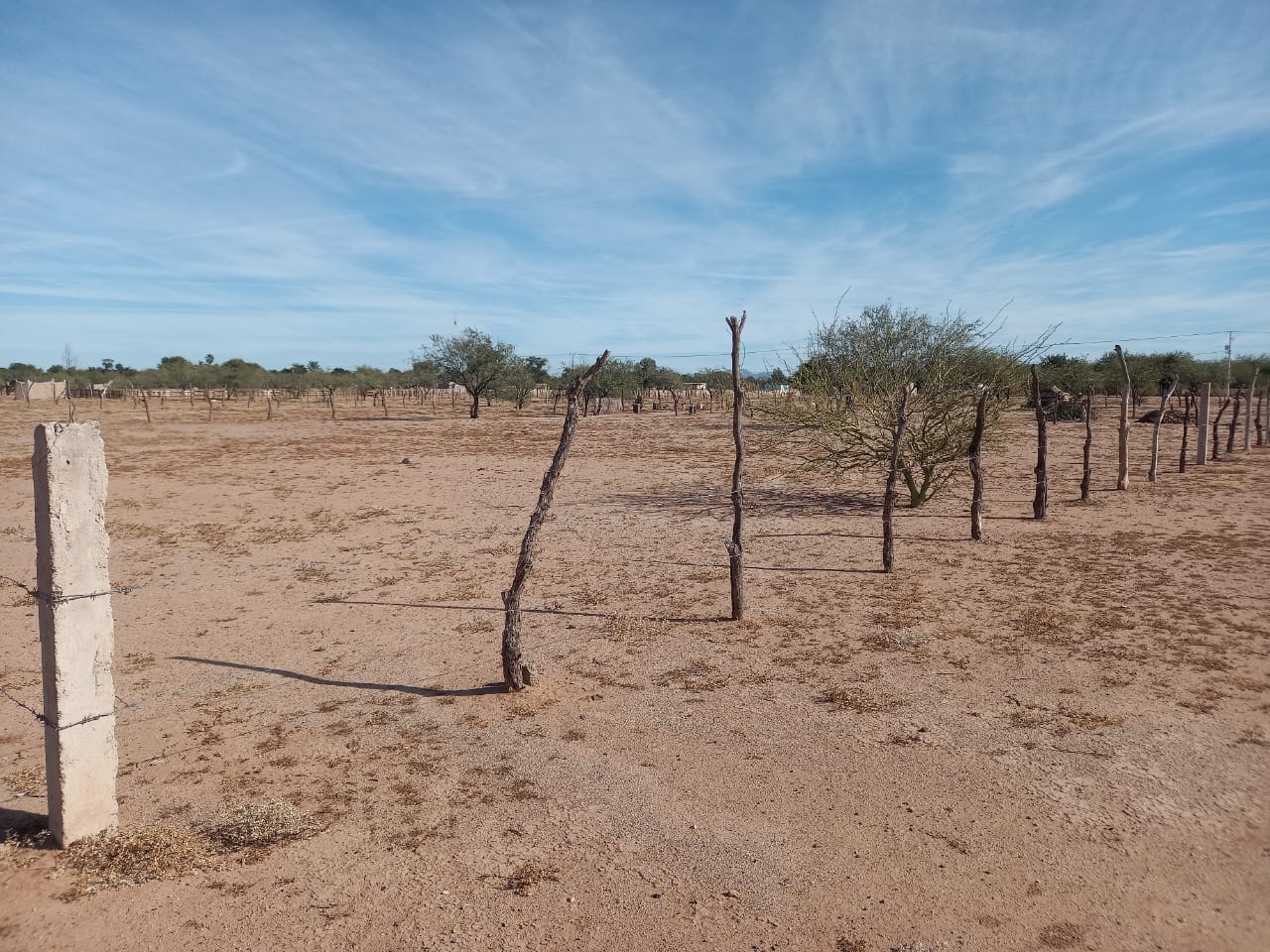 Terreno 04 · 20x40 metros