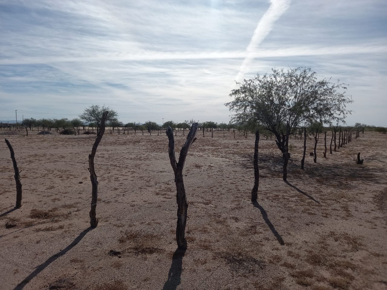 Terreno 05 · 20x40 metros