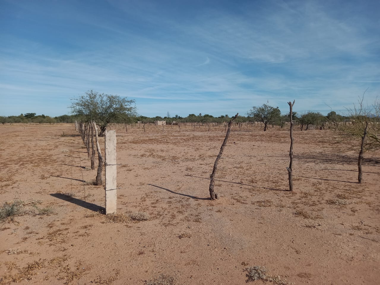 Terreno 06 · 20x40 metros